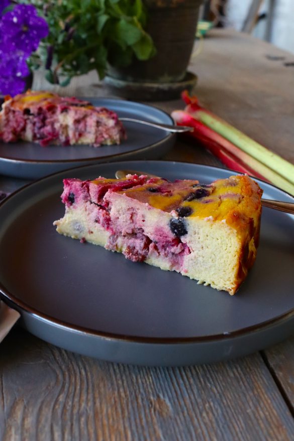 Кокосов кейк с ревен и горски плодове по Зоната